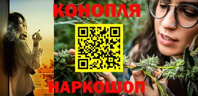 Альфа ПВП Малоярославец