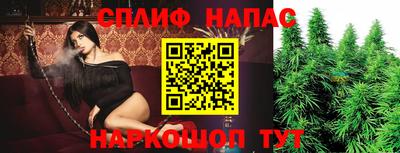 Альфа ПВП Малоярославец