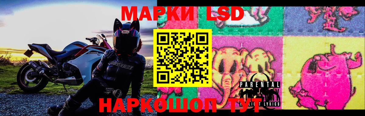Зеленогорск  ГАШ  ТГК  Меф МЯУ МЯУ   Каннабис  Вход с VPN  Кокаин 